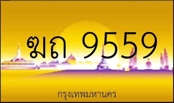 ฆถ 9559